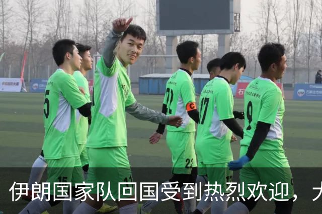 伊朗国家队回国受到热烈欢迎，大批球迷接机