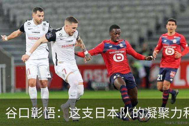 谷口彰悟：这支日本队的凝聚力和团队精神，是我生涯见过最强的
